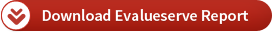 Download Evalueserve Report