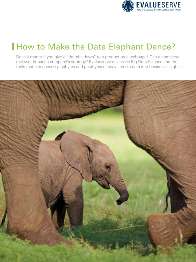 Download Evalueserve Report